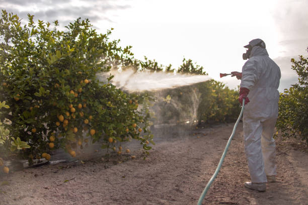 Best Mosquito Control Services  in Aberdeen, OH
