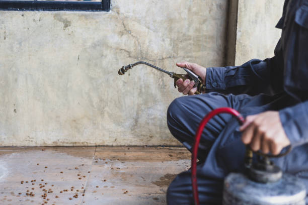 Professional Pest Control in Aberdeen, OH